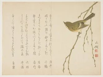 Nachtigall auf einem Weidenzweig, ca. 1860
